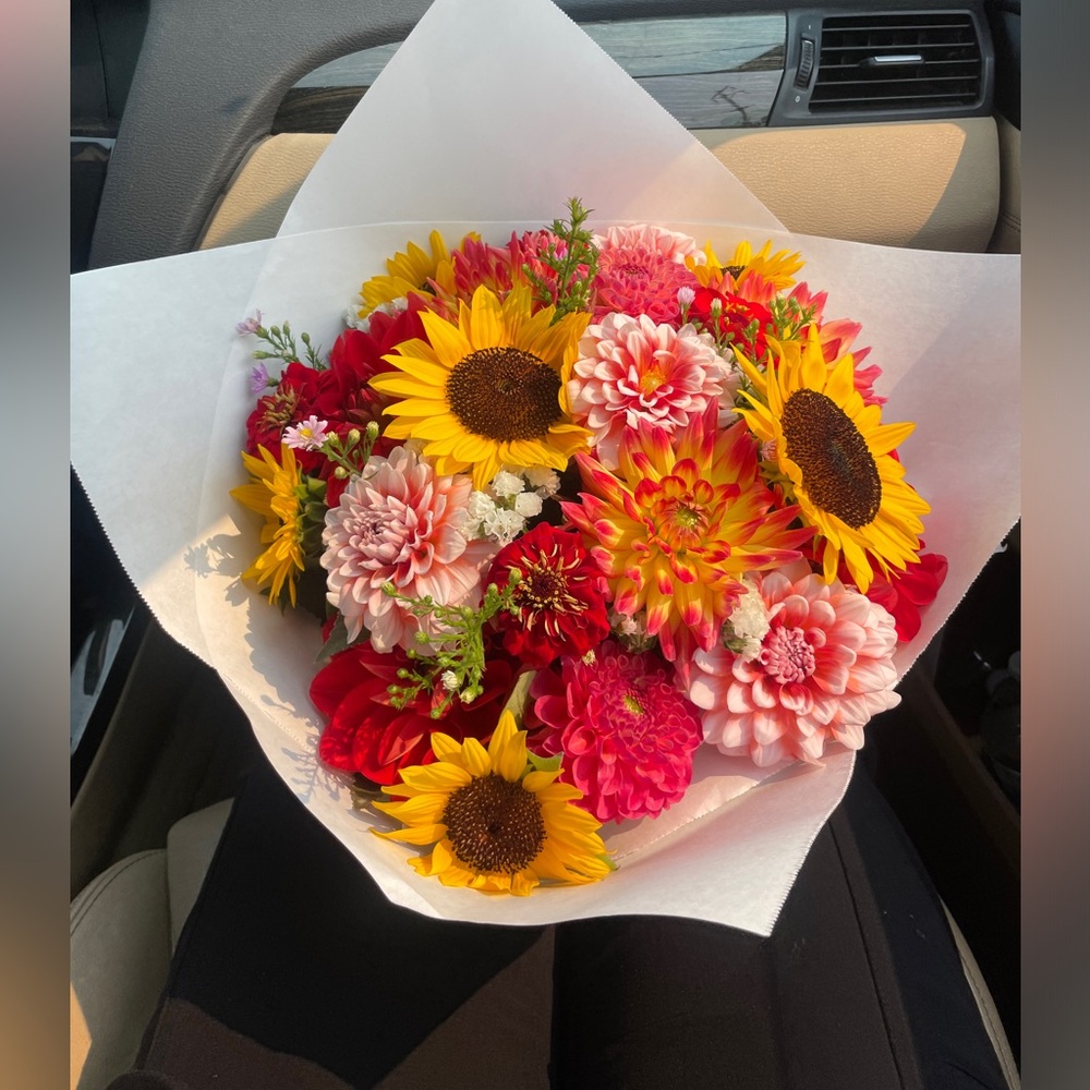 Meet your Posher, Jess